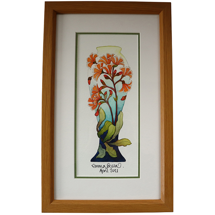 Lewisias - Vase + Watercolour